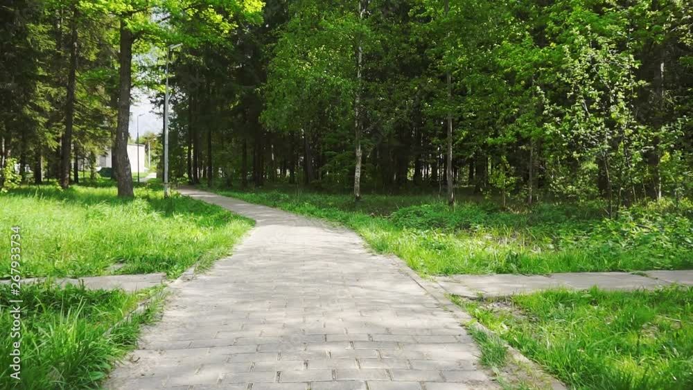 summer time.camera flies over the paved forest path on a sunny summer day.first person view summer time.camera flies over the paved forest path on a sunny summer day.first person view