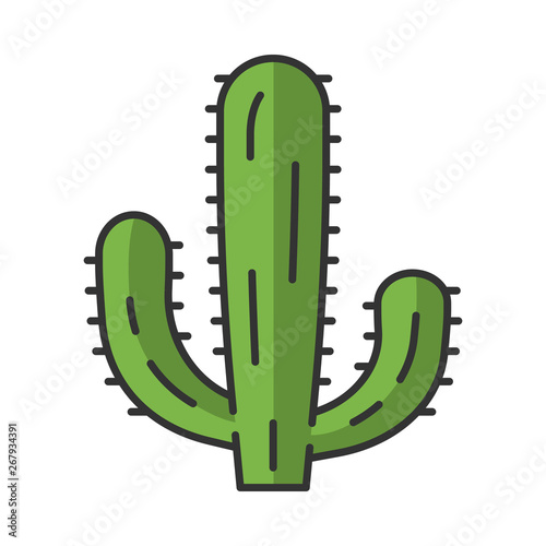 Mexican giant cactus color icon