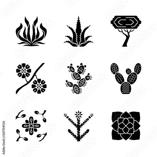 Desert plants glyph icons set photo