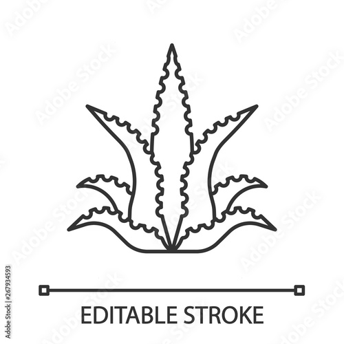 Aloe vera linear icon