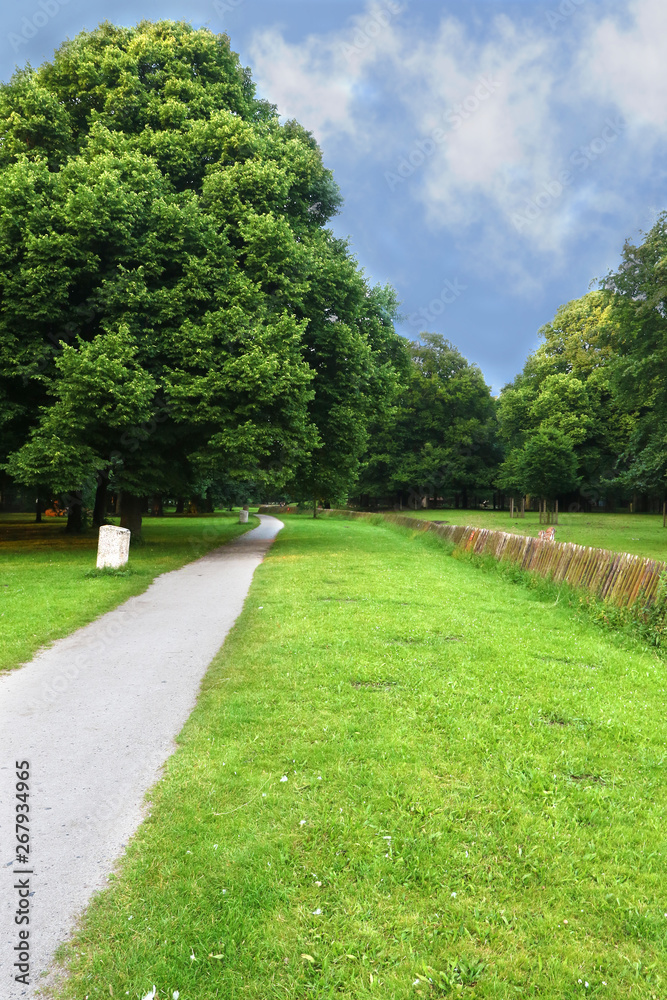 green lawn park pathway with blue sky 