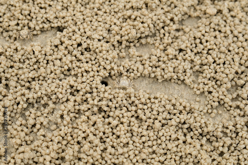 Top view Wind crabs and beaches. Top view Wind crabs and beaches.