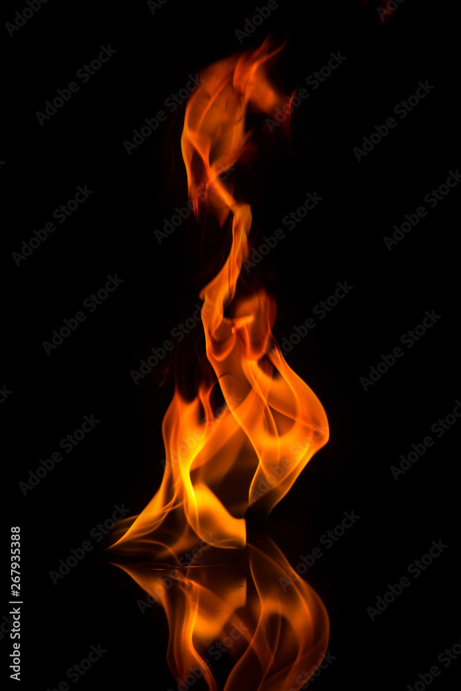 Fire flames on a black background Fire flames on a black background