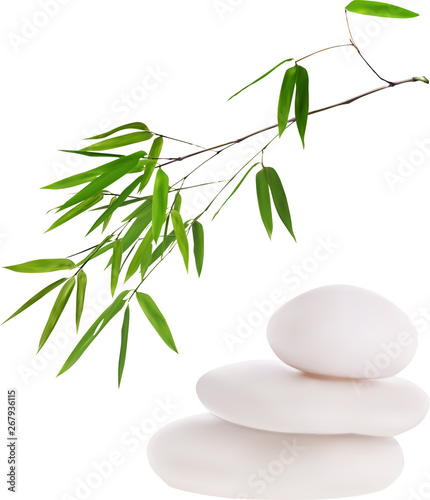 isolated white stones and green bamboo illustration