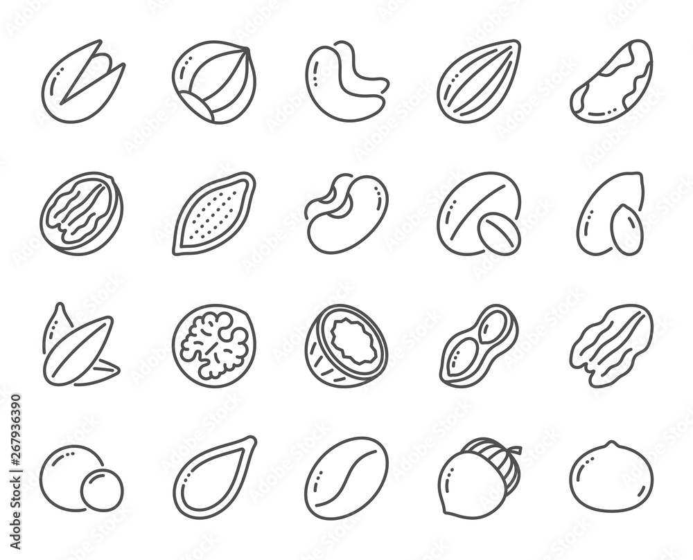 Nuts and seeds line icons. Hazelnut, Almond nut and Peanut. Sunflower and pumpkin seeds, Brazil nut, Pistachio icons. Walnut, Coconut and Cashew nuts. Pecan, peas, macadamia. Vector Nuts and seeds line icons. Hazelnut, Almond nut and Peanut. Sunflower and pumpkin seeds, Brazil nut, Pistachio icons. Walnut, Coconut and Cashew nuts. Pecan, peas, macadamia. Vector