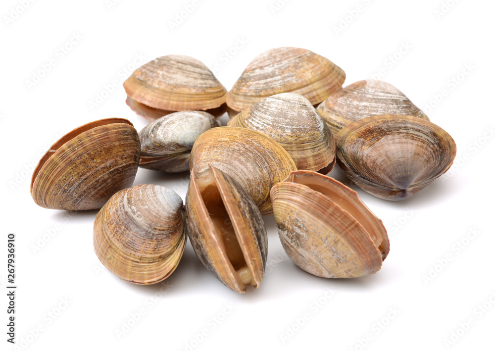 Stacked fresh raw clams on white background Stacked fresh raw clams on white background
