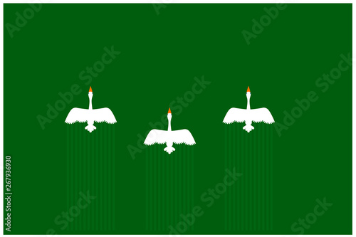 migratory birds flying from top view