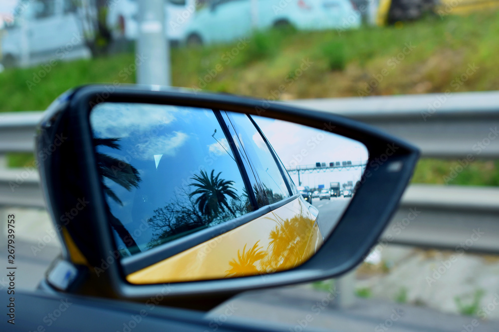 mirror car by the southern landscape with palm trees