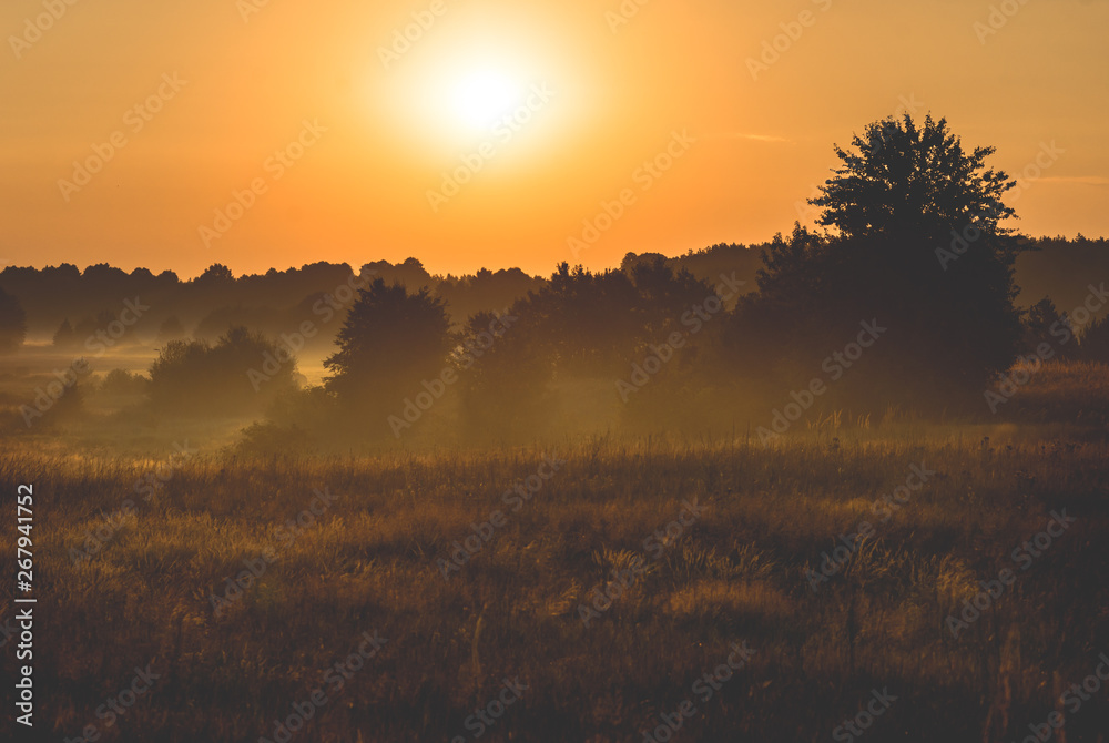 morning on meadow. sunrise landscape photo with vintage effect