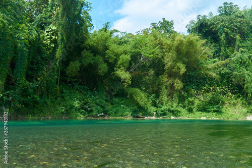 Beautiful green Jungle river in Jamaica