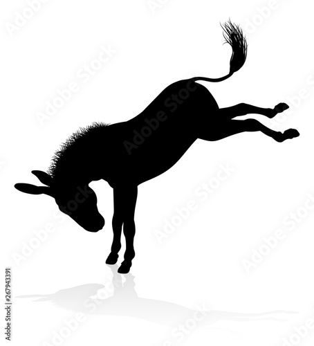 Fotografia A detailed high quality donkey farm animal silhouette