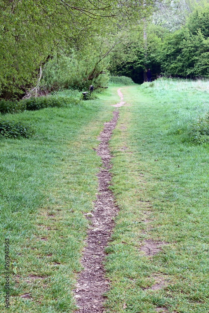 Obraz premium A long straight path in the English Cotswold countryside. The back of a male walker is visible in the distance.