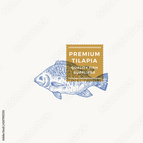 Tilapia Abstract Vector Sign, Symbol or Logo Template. Hand Drawn Fish Sketch Silhouette with Modern Typography. Vintage Vector Emblem.