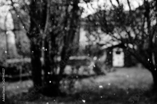 Snowing © Dan A. Nesheim