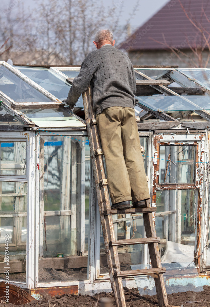 Grandfather on the stairs repairing a greenhouse in the garden Grandfather on the stairs repairing a greenhouse in the garden