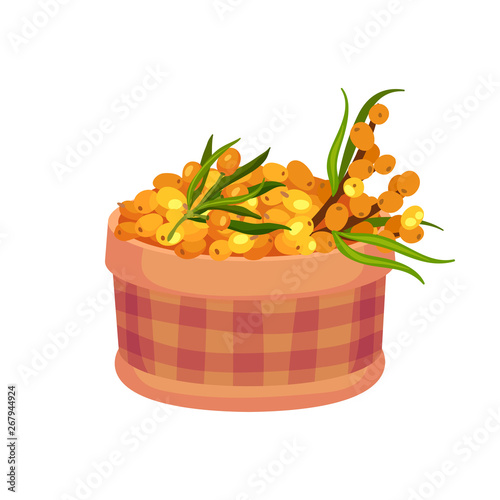 Checkered bowl with sea buckthorn berries. Vector illustration on white background.