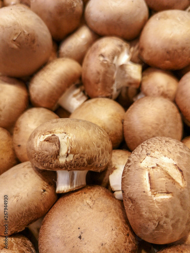 Brown champignons on the counter in the store