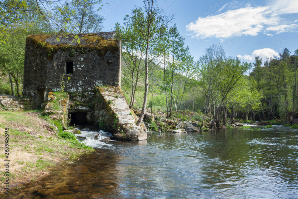 molino rio molino rio
