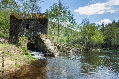 molino rio