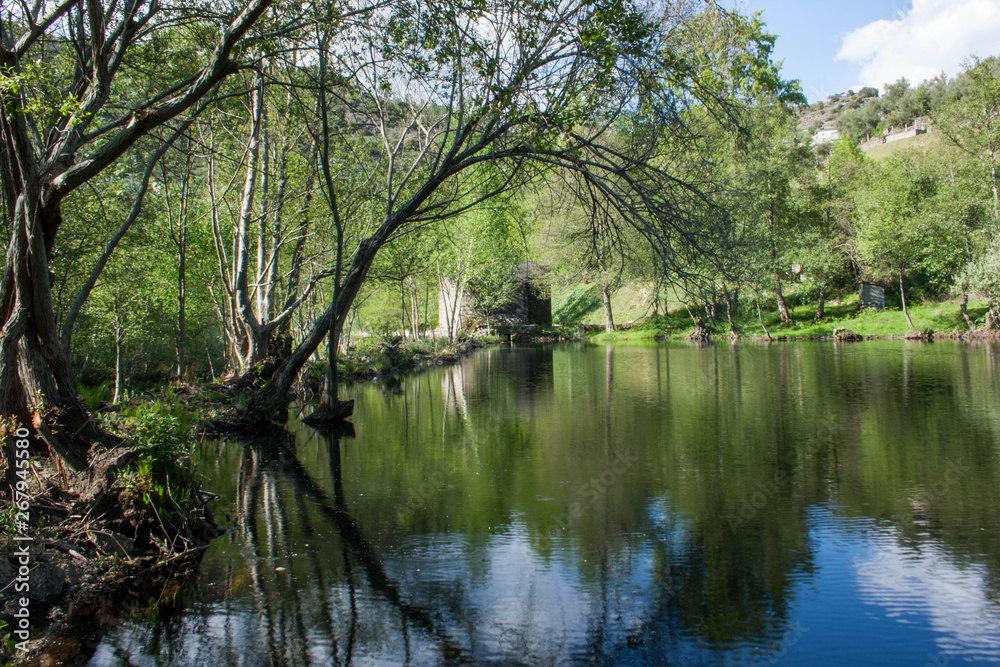 rio reflejos rio reflejos