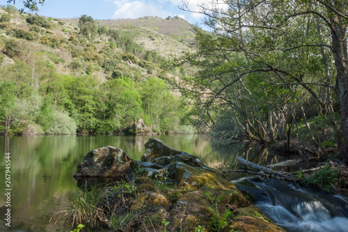 rio reflejos