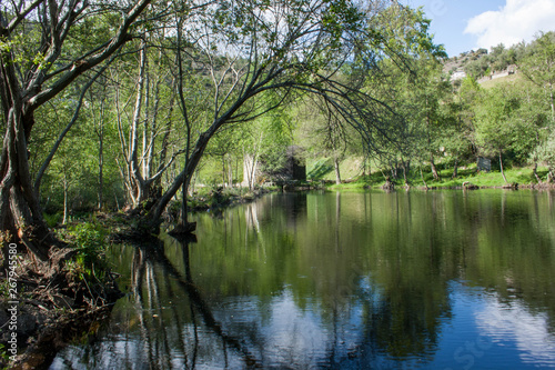 rio reflejos