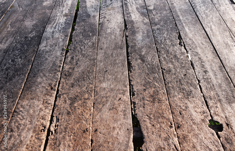 Fototapeta premium texture of wood