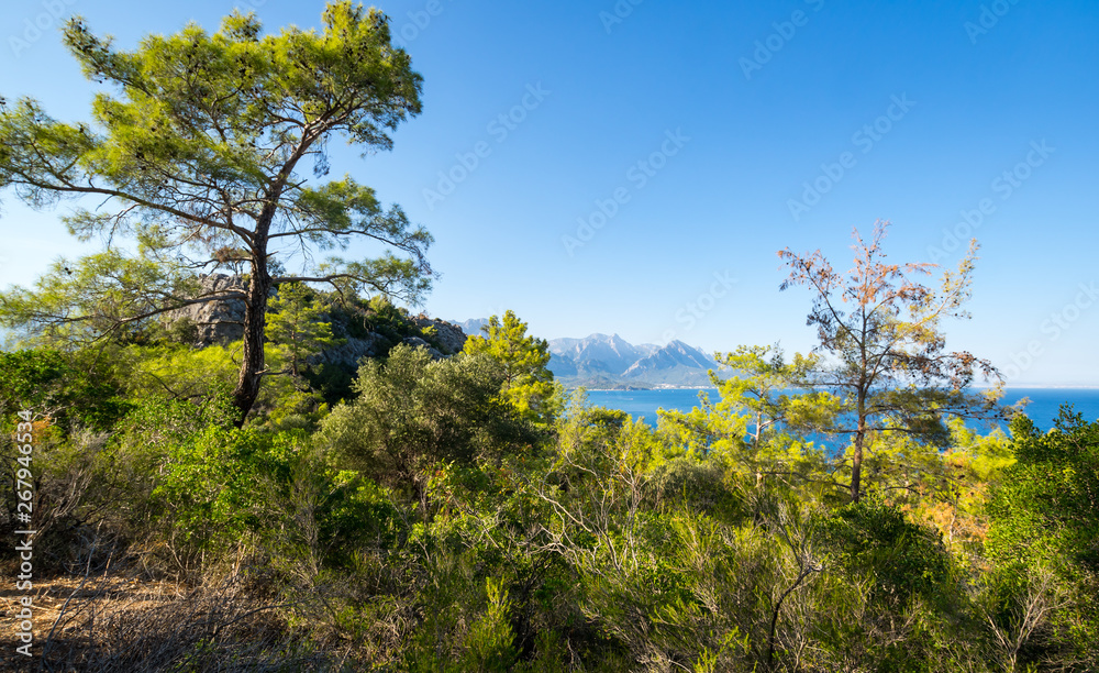 The coast of Mediterranean sea