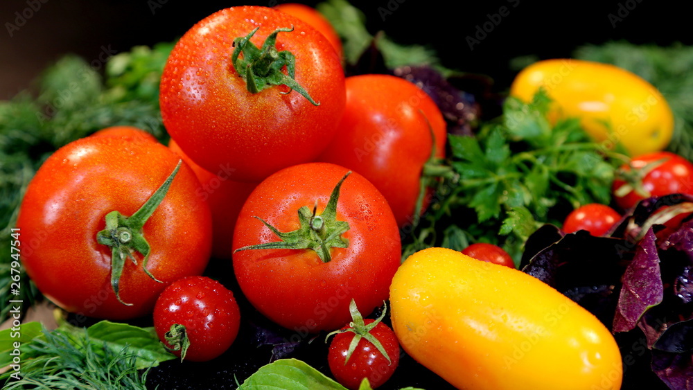 Dew drops on fresh red tomatoes. Red Tomatoes and green spices Dew drops on fresh red tomatoes. Red Tomatoes and green spices