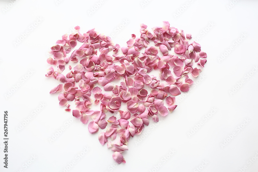heart rose petals / pink roses, heart-shaped frame petals, love concept