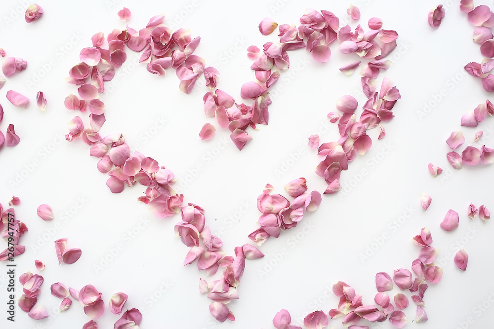 heart rose petals / pink roses, heart-shaped frame petals, love concept heart rose petals / pink roses, heart-shaped frame petals, love concept