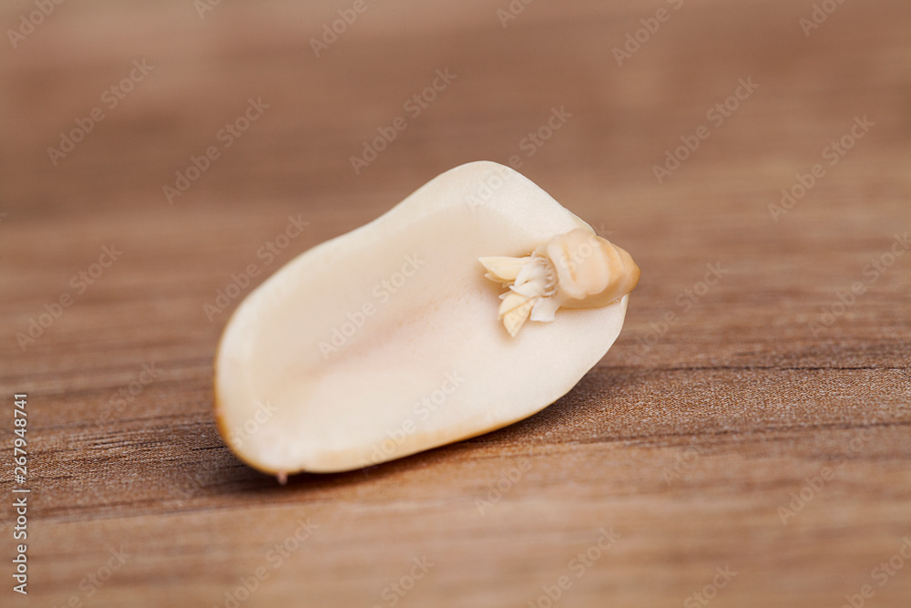 Peanut on wooden table.Healthy food and snack. Peanut on wooden table.Healthy food and snack.