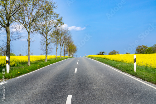 Country road between two beautiful yellow flowering rapeseed fields