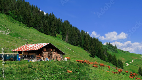 Obraz na plátně Pourquoi pas des vacances à la ferme ?