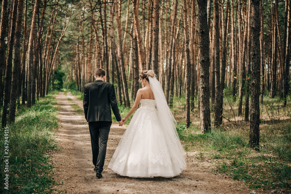 bride and groom walk in a pine forest holding hands bride and groom walk in a pine forest holding hands