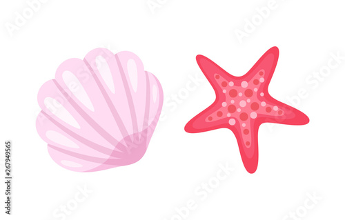 Aquatic creatures vector, isolated icons of conch and starfish. Pink seastar with five corners, animals living in sea water, ocean bottom dwellers