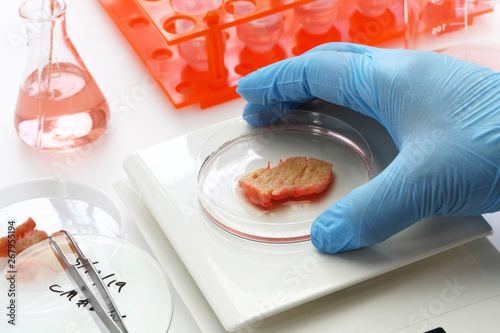 cultured meat making image, lab grown meat concept