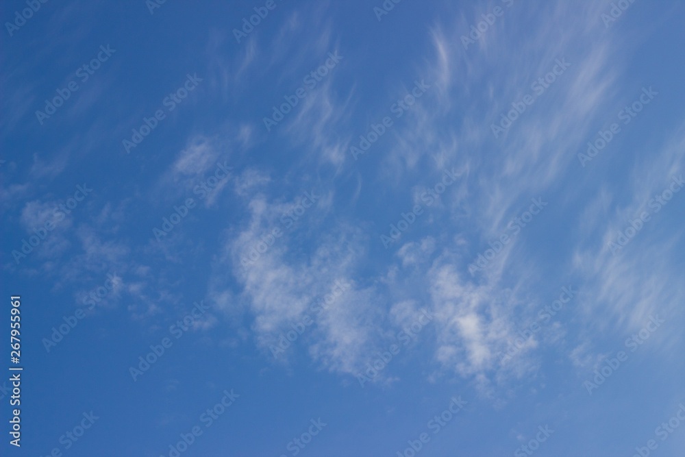 spring blue sky with white fluffy clouds