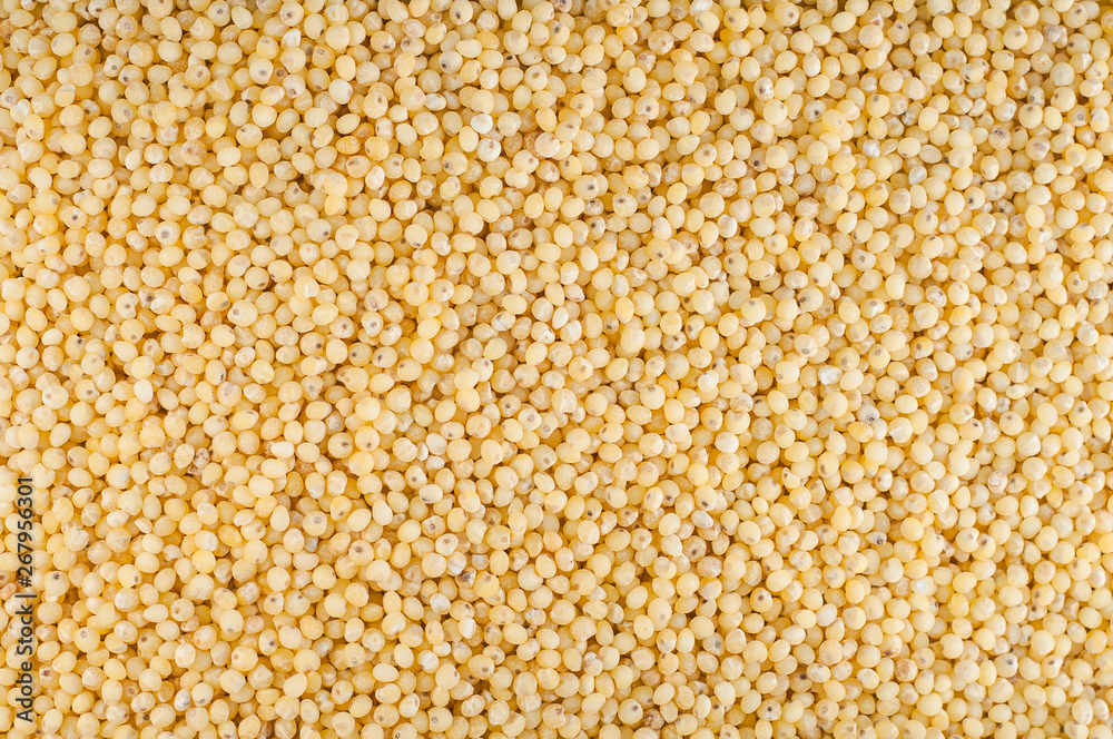 Dry and raw yellow millet groats. Dry and raw yellow millet groats.