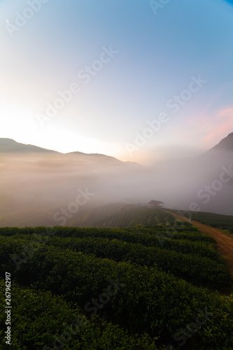 Silhouette mountain sunrise with fog
