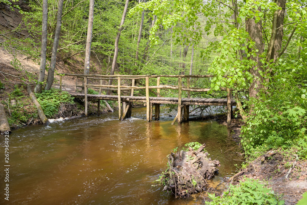 Wooden bridge on the Tanew river in nature reserve Nad Tanwia Wooden bridge on the Tanew river in nature reserve Nad Tanwia