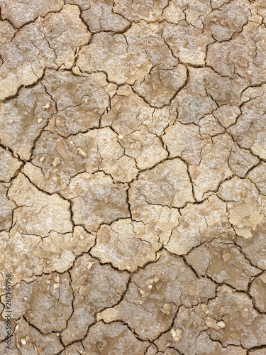Dry cracked soil