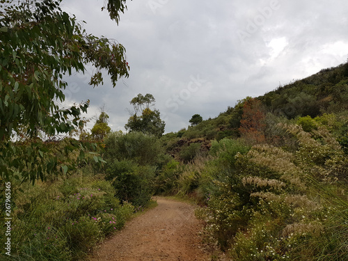 Campagna in Sardegna