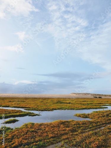 Sweet water river is going into the ocean