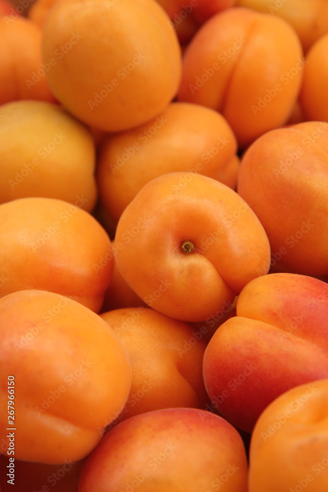 Ripe apricots fruit background Ripe apricots fruit background