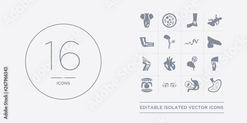 16 vector icons set such as stomach flu, stomach ulcers, strabismus, strep throat, streptococcal infection contains stroke, swine influenza, synovitis, syphilis. stomach flu, ulcers, strabismus from