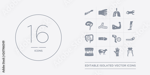 16 vector icons set such as sciatica, scleroderma, scrapie, scurvy, sepsis contains septicemia, sexually transmitted diseases, shigellosis, shin splints. sciatica, scleroderma, scrapie from diseases