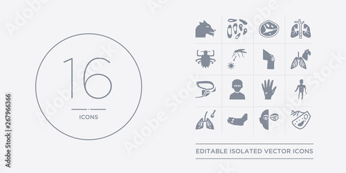 16 vector icons set such as phenylketonuria, pilia, plague, pneumonia, poliomyelitis contains porphyria, progeria, prostatitis, psittacosis. phenylketonuria, pilia, plague from diseases outline