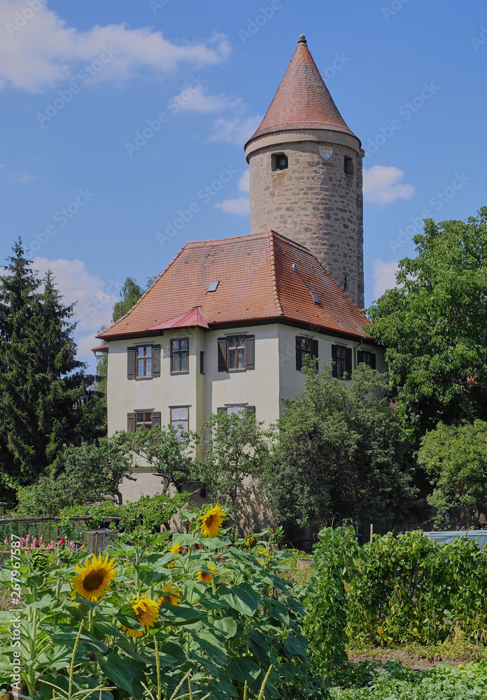 Medieval Tower with Sunflower Garden - Germany