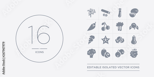 16 vector icons set such as blackberry, berries, breast milk fruit, broccoli, butternut squash contains cabbage, carambola, carrots, cauliflower. blackberry, berries, breast milk fruit from fruit